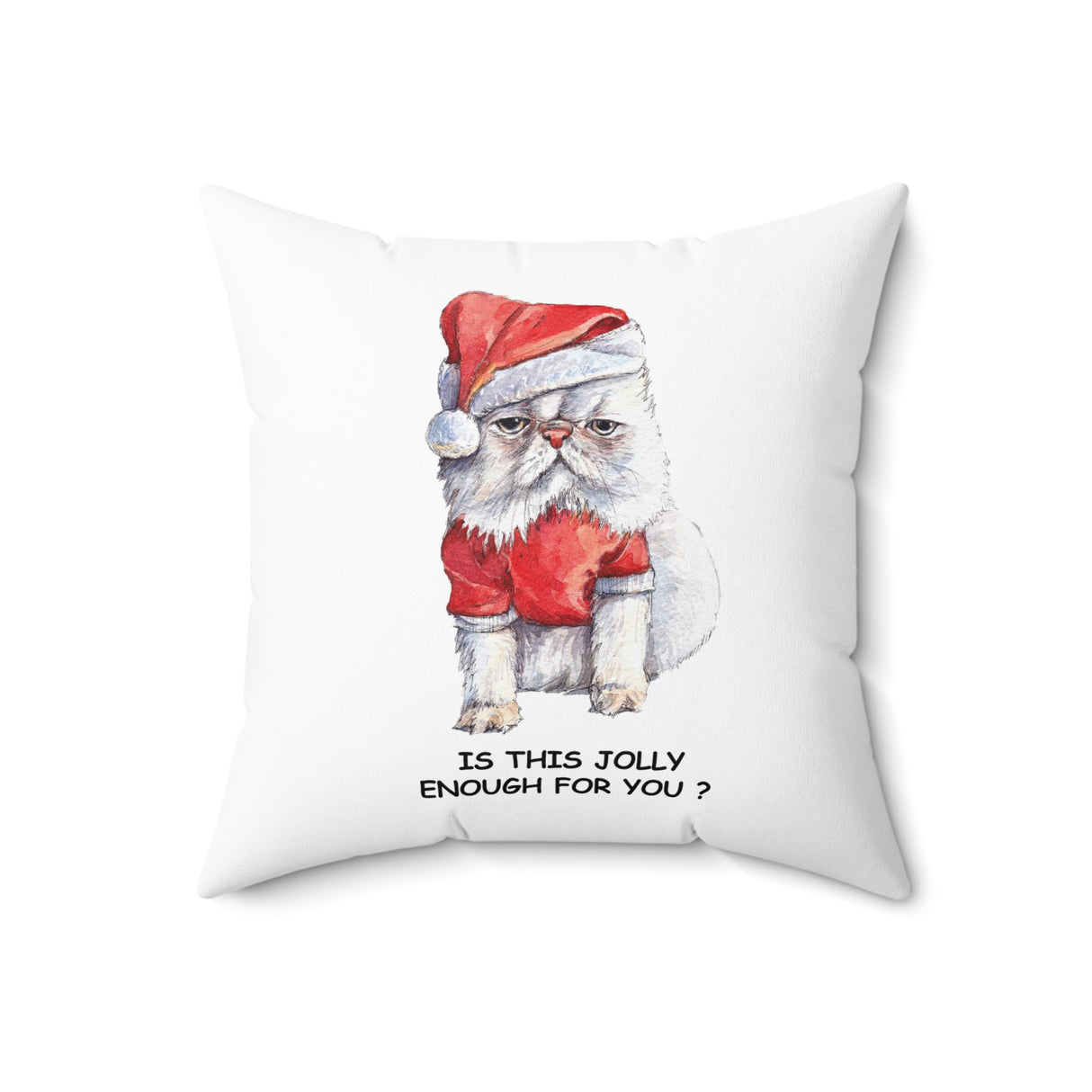 Grumpy Christmas Cat Pillow